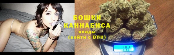сатива Володарск