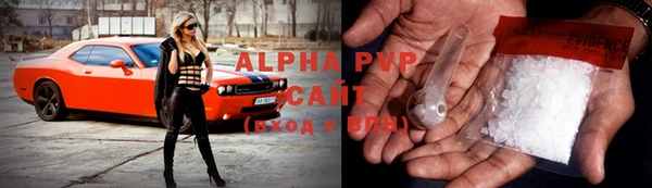 сатива Володарск
