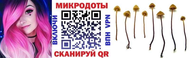 продажа наркотиков  Керчь  МЕГА ONION  Галлюциногенные грибы Cubensis 